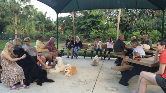 Dozens of dogs and their owners, shown here Monday, Dec. 21, 2015, gather at the BallenIsles dog park every day at 4 p.m. The BallenIsles Royal Canine Society collected about $600, toys, food and other supplies for the Peggy Adams Animal Rescue League. (Sarah Peters/The Palm Beach Post)