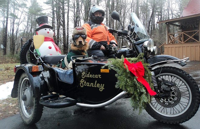 Sidecar Stanley, the famous motorcycle riding golden retriever of the Seacoast, is owned by Rick and Kathy Augustine of Kingston. Stanley is often spotted around Exeter and Stratham as Rick, an engineer, works in Stratham and brings Stanley to work with him a few days a week. Courtesy photo