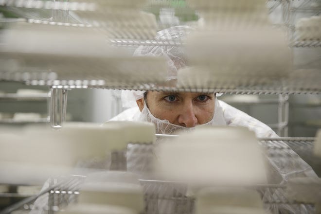 In this photo from June, CEO Matthew Sade looks over the racks in the soft fresh aging room at the Kite Hill Creamery in Hayward, Calif., where vegan cheese is being produced. (AP Photo/Eric Risberg)