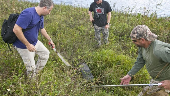 Peter Weisner, of Wellington, left, and Tom Cunningham of Wellington, right, look around an old tire for a Burmese python while Craig Constant, of Dallas, keeps his hand on his gun if needed while searching an area in southwest Palm Beach County for the Python Challenge, Jan. 12, 2012. (Greg Lovett/The Palm Beach Post)