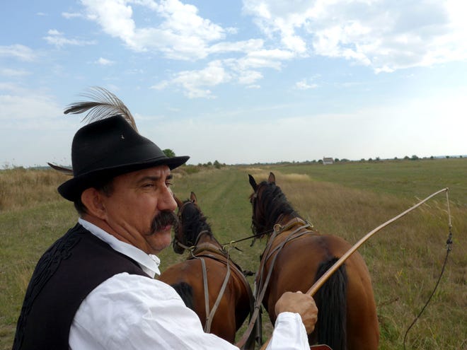 Riding-tour guide Albert Hajdu drives a carriage through the Hungarian Puszta, a natural grasslands area. This wild terrain in the country's east came to symbolize an immutable patch of liberty during eras of political strife.