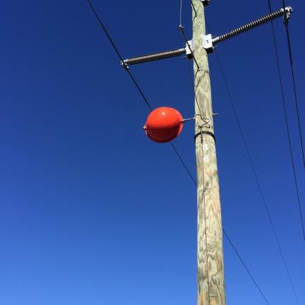 (Photo by Jackie Hendricks/Special to The Gazette) This red sphere attached to a utility pole along South Marietta Street is part of this week’s Answer Man column. The spheres are placed there by Duke Energy.