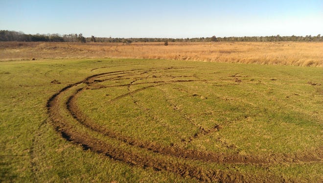 Seven or eight off-road vehicles were used Saturday night to tear up a 17-acre portion of the Frances Crane Wildlife Management Area in Falmouth, including this field recently restored by the Otis Model Aero Club. Photo courtesy of David Fisichella