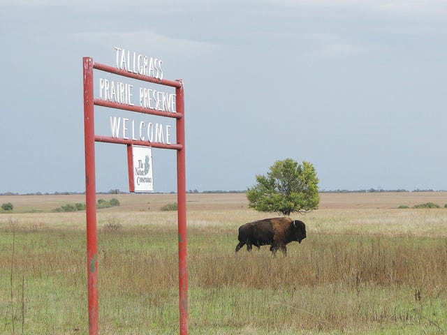 Oklahoma’s Tallgrass Prairie Preserve Seeks Docent Volunteers
