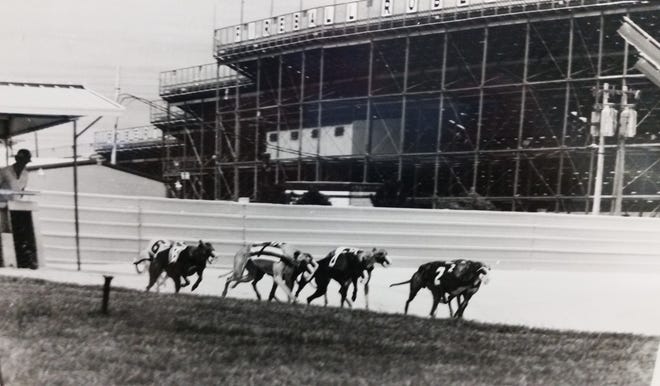 The Speedway was an imposing backgrop at the old Daytona Beach Kennel Club. NEWS-JOURNAL FILE