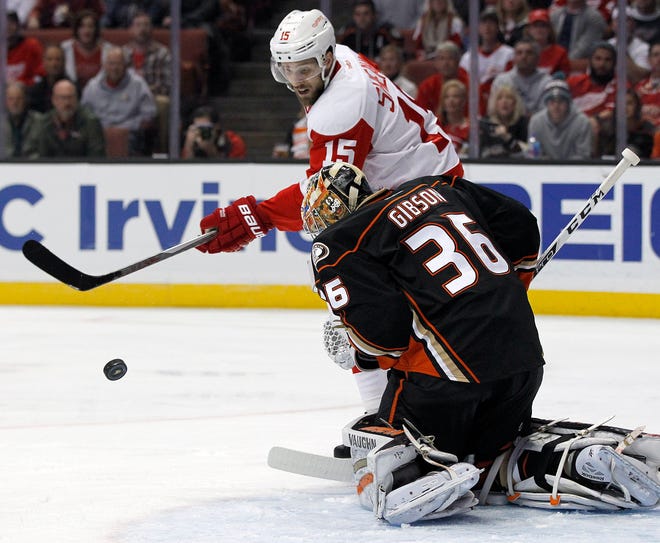 The puck bounces off Anaheim Ducks goalie John Gibson (36) as Detroit Red Wings center Riley Sheahan (15) looks for the rebound during the first period of an NHL hockey game in Anaheim, Calif., Sunday, Jan. 10, 2016. (AP Photo/Alex Gallardo)