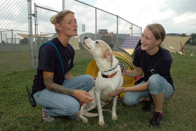 (File) Burlington County Animal Shelter staff members Donna Drayton (left), of Medford, and Kate Forbes, of Lumberton, play with Scout, an American Staffordshire terrier, in the shelter's recreation area.
