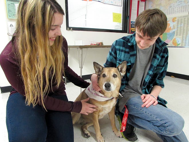 Pekin Community High School seniors Hannah Biggs, 17, and Logan Chilton, 18, spend a little time with the high school's new therapy dog, Cali. It was Cali's third day of work Thursday.