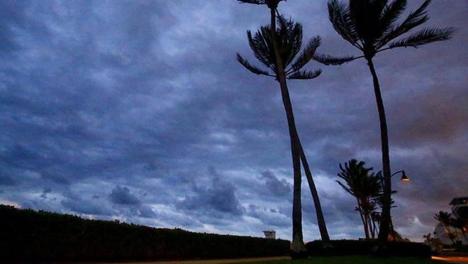 Trees blow in the wind on Palm Beach before dawn on Friday, Jan. 15, 2016.