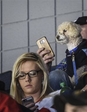 People bring their dogs to the Van Andel Arena Sunday evening, Jan. 17, 2016, for Dog Night presented by NestlÃ© Purina, as the Grand Rapids Griffins take on the Chicago Wolves at the Van Andel Arena in Grand Rapids, Mich. (Taylor Ballek/The Grand Rapids Press via AP) ALL LOCAL TELEVISION OUT; LOCAL TELEVISION INTERNET OUT; MANDATORY CREDIT