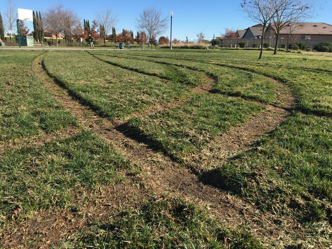 Vandals leave behind tread marks that have dug ruts in the ground approximately 3-4 inches deep and approximately 500 feet long at Pitts Park in north Stockton. NICHOLAS FILIPAS/THE RECORD