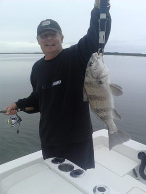 Jim Urguhart of Palm Coast holds up a 4-pound-6-ounce black drum caught recently in the Intracoastal Waterway. Winter months provide a good time to target black drum. NEWS-TRIBUNE/CAPT. MIKE VICKERS