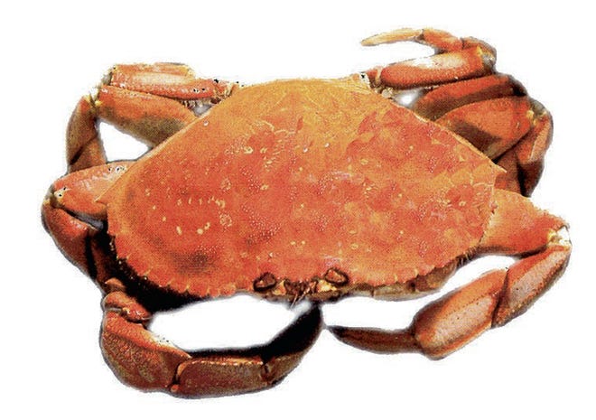 Stocktonians Taking Action to Neutralize Drugs holds its second annual Western Crab Feed on Saturday at the San Joaquin County Fairgrounds.

COURTESY PHOTO