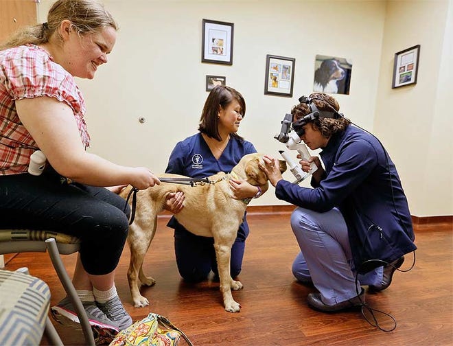 Aleeha Dudley, left, took her guide dog, Dallas, for a veterinary check last year at MedVet Columbus.