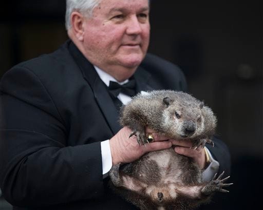 Inner Circle President Bill Deeley shows Punxsutawney Phil to tourists a day before Groundhog Day in Punxsutawney, Pa., on Monday, Feb. 1, 2016. Members of the Inner Circle planned to reveal their forecast at sunrise Tuesday. A German legend says that if a furry rodent sees his shadow on Feb. 2, winter will last an additional six weeks. If not, spring comes early. In reality, Phil's "prediction" is decided ahead of time by the group. (Mark Pynes/PennLive.com via AP)
