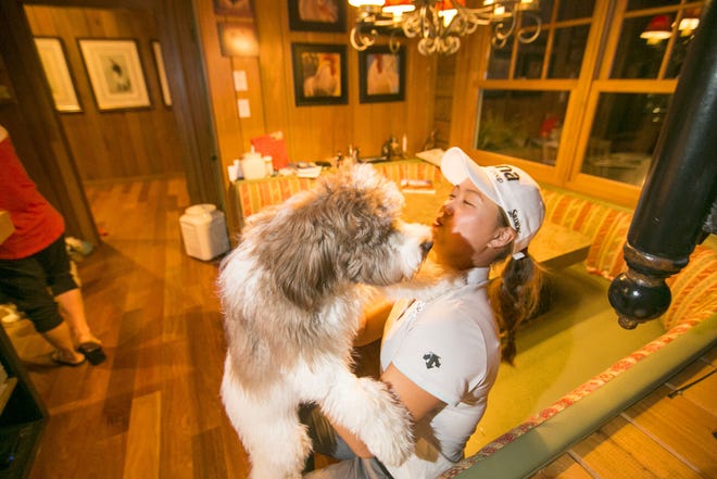 Austrailian professional golfer Minjee Lee enjoys playing with Phoebe, a Labradoodle in Gary and Marianne Smith's Ocala home on Monday.