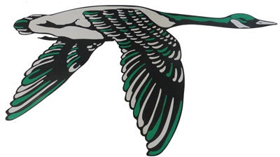 The Wethersfield Flying Geese are among 64 Illinois high school mascots that are part of a Comcast Sports Network contest.
