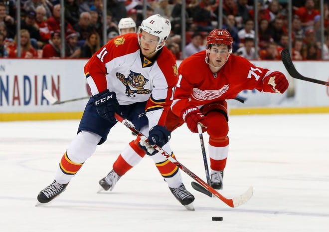 Florida Panthers center Jonathan Huberdeau (11) tries to shoots as Detroit Red Wings center Dylan Larkin (71) defends in the third period of an NHL hockey game, Monday, Feb. 8, 2016 in Detroit. (AP Photo/Paul Sancya)