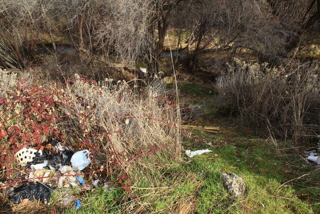 A cleanup has been organized by Yreka resident Ramone Russell targeting the trash-filled creek area behind the Yreka Junction Shopping Center.