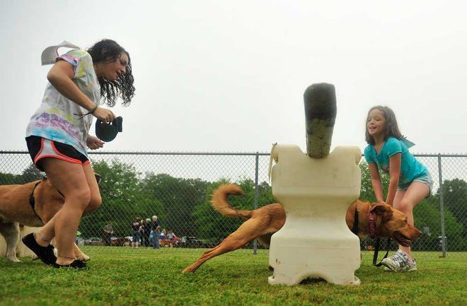 Meghan Moore, left, and her dog, Munson, join Abbie Cheatham and her dog, Izzi, as they take a practice run through an obstacle course during Dog Day at North High Shoals City Park on Saturday, April 23, 2011 in Oconee County, Ga.  (Richard Hamm/Staff/richard.hamm@onlineathens.com)