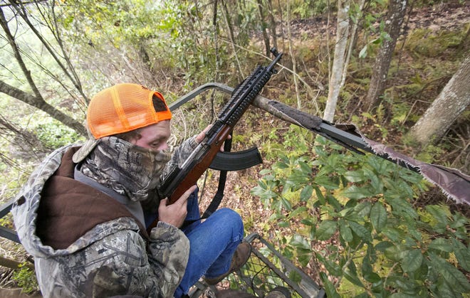 Marion County hunter Zackary Johnson took part in the first Florida bear hunt in decades last October. He didn't even see a bear. State Sen. Alan Hays, R-Umatilla, wanted to create a public-records exemption for personal information — such as names, dates of birth, addresses and telephone numbers — of people getting hunting licenses from the Florida Fish and Wildlife Conservation Commission, but his bill was rejected by a Senate committee.