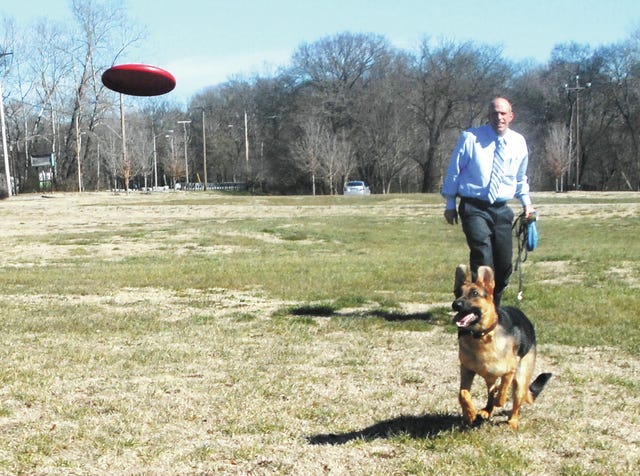 Radley, a 9-month-old female German shepherd races after the frisbee her owner, Kevin Latta, has just tossed for her while they were playing during his lunch hour Thursday in Duck Riverwalk Park. Latta, a lawyer, who just move back to Columbia, adopted Radley from a dog rescue group. The sunny spring-like weather had encouraged several to get outside and enjoy the time in the park. (Staff photo by Susan W. Thurman)