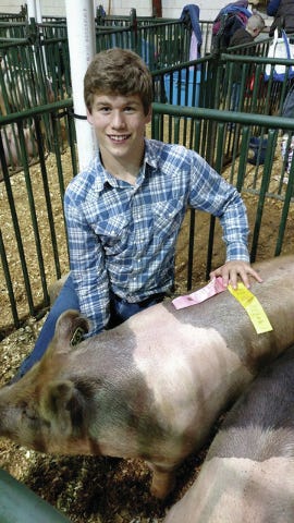 Maury County 4-H member Creek Johnston participated in the 2016 Central Region and State 4-H Hog Shows on Jan. 19-20 in Murfreesboro. He placed fifth in the central region and fourth in the state. (Courtesy photo)