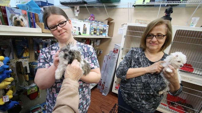 (Photo Mike Hensdill/The Gaston Gazette ) The City of Gastonia wants to help clean up the look of the Akers Center on East Franklin Blvd. Here, (L-R) Kandice Currin and Lorrie Murray show puppies for sale at The Last Place on Earth Pet Store Friday afternoon, February 19, 2016.