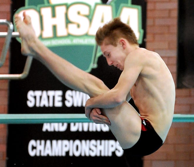 CantonRep.com / Ray Stewart

McKinley's Tyler Brezina competes in the 2015 OHSAA Division I State Diving Championships at C.T. Branin Natatorium.