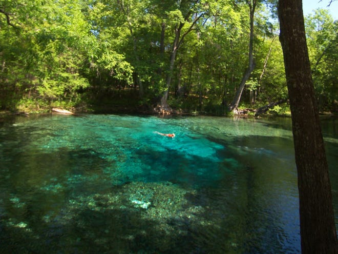 Ginnie Springs is a popular swimming and diving destination and offers diving for all training levels.