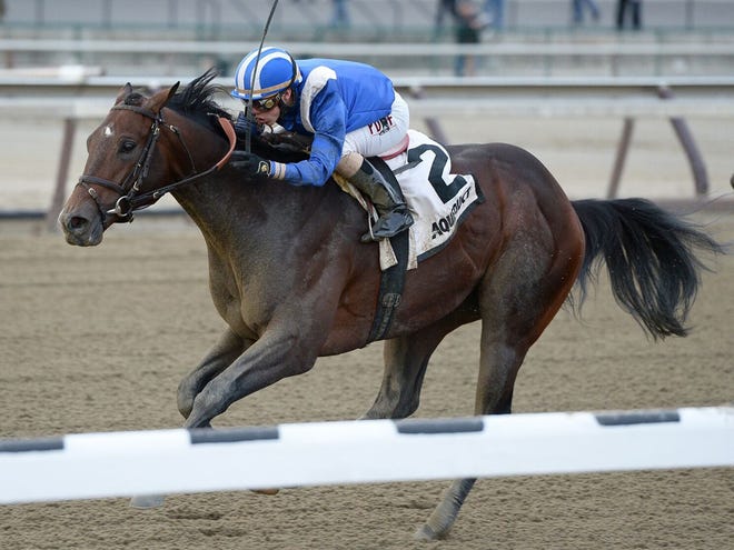 Shagaf, with Irad Ortiz Jr. aboard, competes in the Gotham Stakes horse race at Aqueduct in New York.