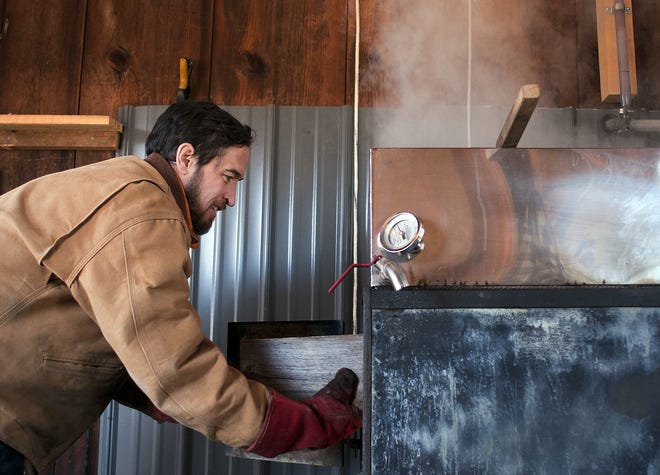 Researcher Josh Rapp feeds wood into the fire to boil sap for maple syrup in a sugar shack at the Harvard Forest in Petersham. T&G Staff/Rick Cinclair