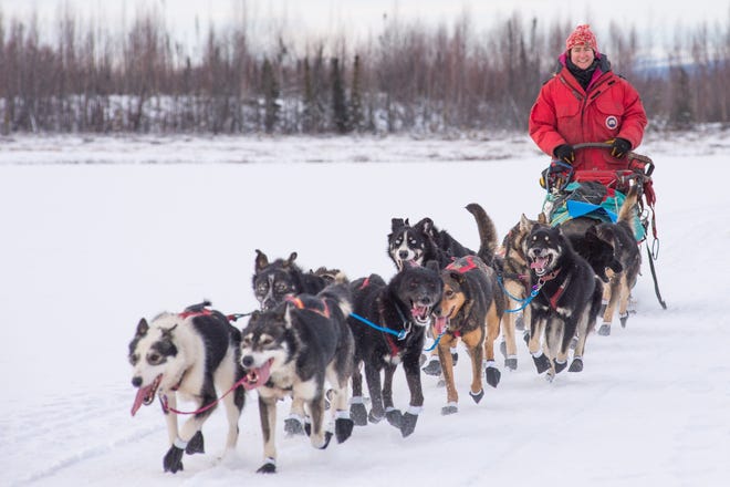 Sarah Stokey and her sled dog team team in the Alaska Northern Lights race in January. The Falmouth native is closing in on the finish of the Iditarod. PHOTO COURTESY ALBERT MARQUEZ/PLANT EARTH ADVENTURES