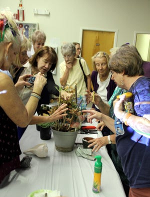 During the break at the Flagler Extension's Short N Sweet program on succulents audience members were invited up to get cuttings and ask questions. NEWS-TRIBUNE/MARK ESTES