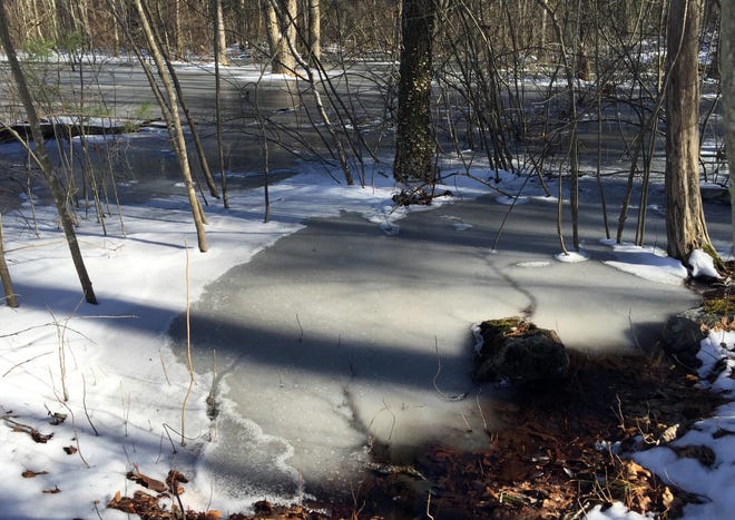 A vernal pool begins to melt and warm up in the early spring sun. Photo by Susan Pike