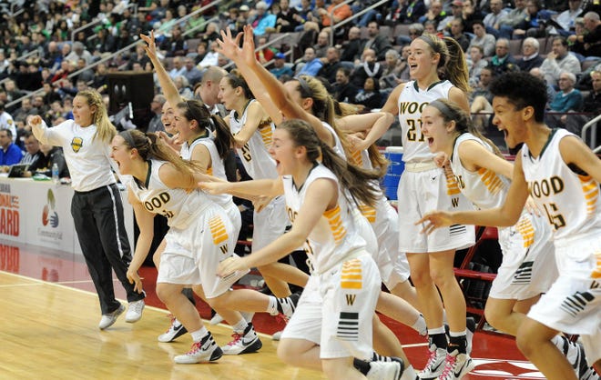 Archbishop Wood storms the court as they celebrate after defeating Villa Maria to win the girls basketball PIAA Class AAA state championship Saturday, March 19, 2016, at the Giant Center in Hershey, Pennsylvania.
