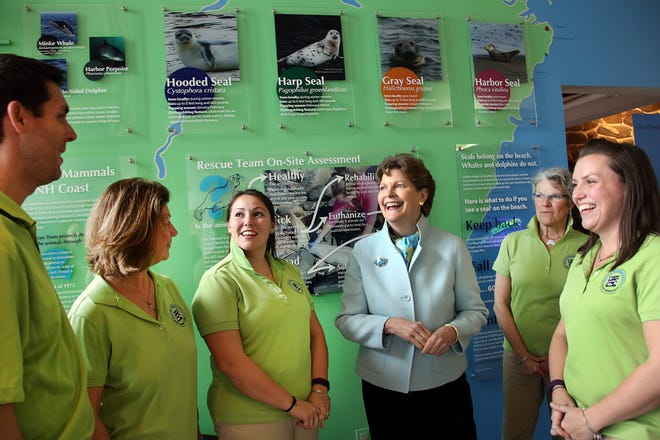 U.S. Sen. Jeanne Shaheen, D-NH, meets with members of the Marine Mammal Rescue Team during a visit to the Seacoast Science Center in Rye on Friday. From left to right include: Rob Royer, Nikki Anneli, Sarah Toupin, Sen. Shaheen, Wendy Lull, and Ashley Stokes.

Photo by Rich Beauchesne/Seacoastonline