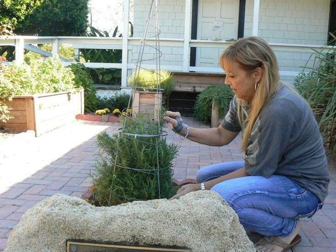 Pam Kelley works with the rosemary bush that adorns the center of the herb garden.