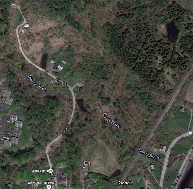 Overhead view of the Rose Farm area where a large residential development is planned as DES requests further environmental assessments. Google Images.