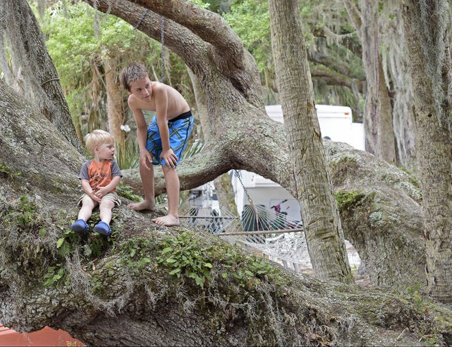 Preston Byars, 9, and Dylan, 2, sit in a tree at the Dads for Boys ranch in Umatilla on Saturday, April 16, 2016.