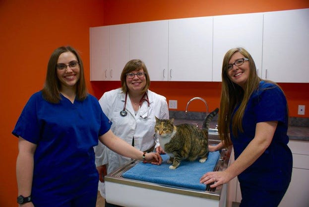 Happy Tails veterinary clinic opens
