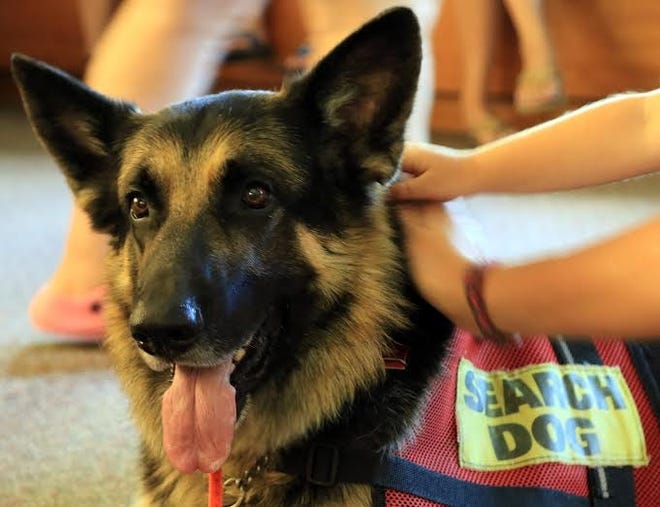 Kobuk, a German shepherd search and rescue dog from York, Maine, was nominated for the American Humane Association Hero Dog Awards contest in the Search and Rescue category.

File photo by Rich Beauchesne/Seacoastonline