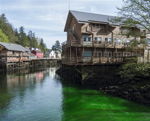 In this Wednesday, April 20, 2016 photo, Green dye makes its way through Ketchikan Creek in Ketchikan, Alaska. Authorities say the green water flowing in the Ketchikan Creek that caused some panic and drew a response from multiple agencies was the result of a prank. Officials have determined that the dye dumped into the water on Wednesday is non-toxic. Ketchikan police talked to the man responsible for the dye, but he was not arrested or cited. (Taylor Balkom/Ketchikan Daily News via AP)