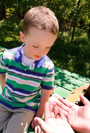 Connor Bell, 3, gets a close-up look at earthworms during Earth Fest activities at Martin Park Nature Center. [Photo by Paul Hellstern, The Oklahoman]