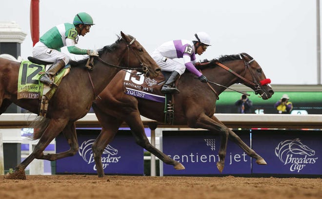 Nyquist (right), with Mario Gutierrez up, brings a 7-0 career record into Churchill Downs. The colt is expected to be the favorite for the Kentucky Derby on Saturday.