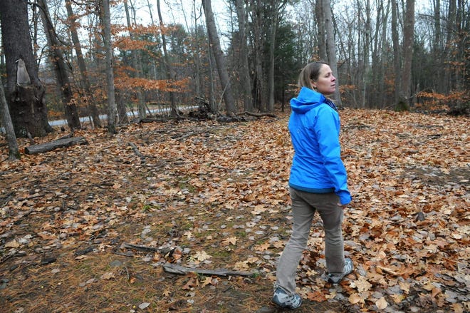 Doreen MacGillis of the York Land Trust last fall walks through the Fuller Forest in York, which is part of 200 acres the family is preserving along with the York Land Trust. 

Photo by Deb Cram/Seacoastonline