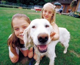 What environmental conditions should be met to keep your dog health, strong and happy? Courtesy photo