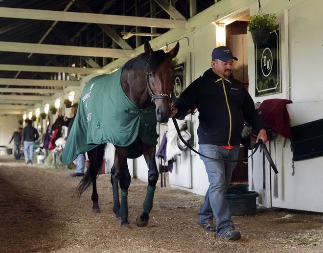 Kentucky Derby favorite Nyquist is taken for a walk after a workout Friday at Churchill Downs. Charlie Riedel/Associated Press