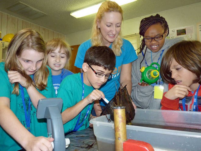 Fourth-grade students from Aiken Elementary participate in the Savannah River Site Science and Technology Enrichment Program. Samantha Moore (from left), Danielle Romano, J.P. Windham, Aiken Elementary teacher Kim Parrish, Naliah Brown and David King study tiny aquatic creatures in local ponds.