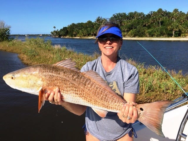 Virginia Lammrish caught and released this 33-inch redfish in the Tomoka Basin. Lammrish was using live mullet for bait. PHOTO/JOHN LAMMRISH